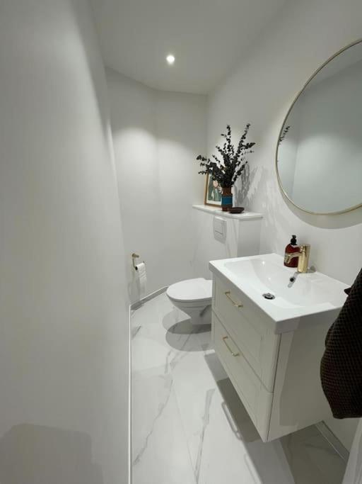 Nyrenoveret Charmerende Lejlighed I Odense C! Exterior foto
